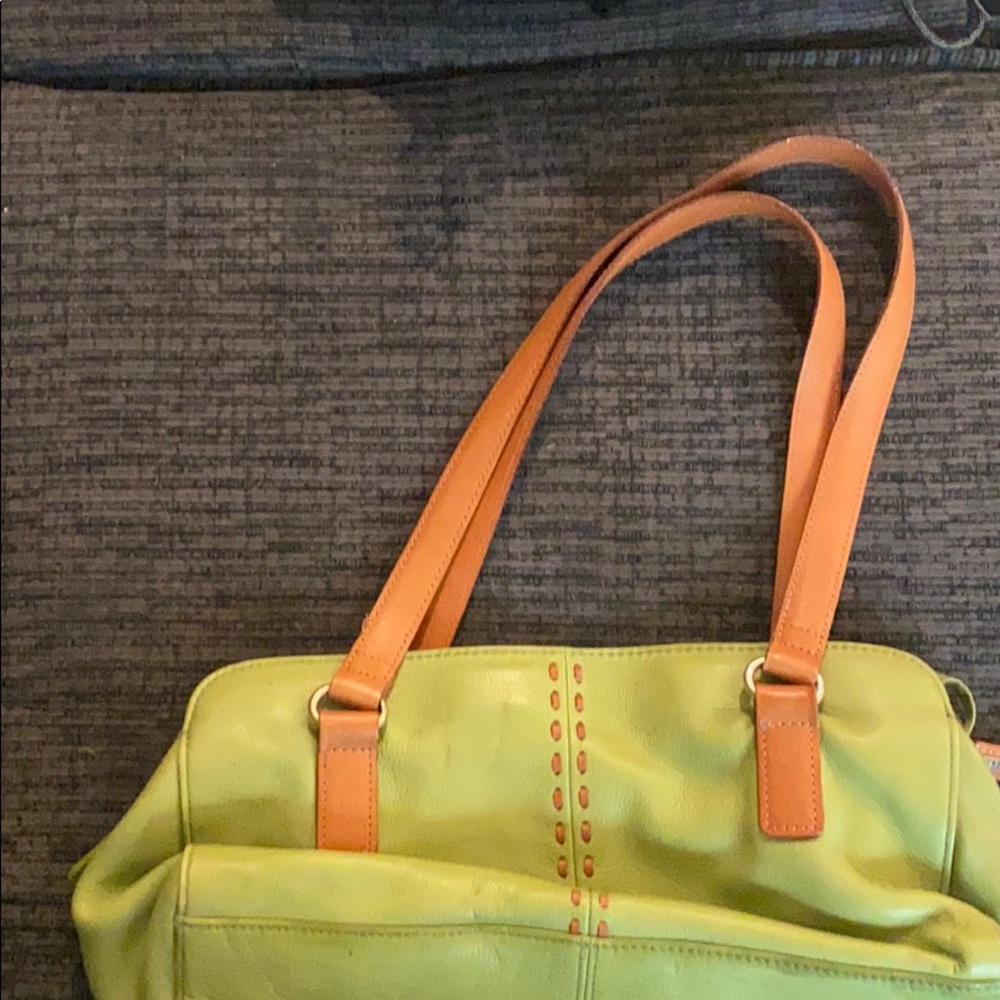 Green Fossil Clutch